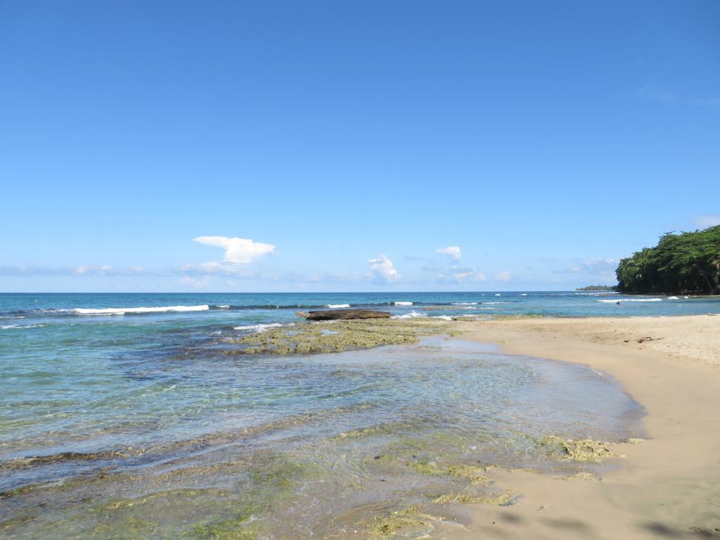 La Kukula Lodge Puerto Viejo de Talamanca Εξωτερικό φωτογραφία