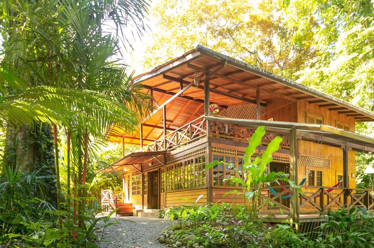 La Kukula Lodge Puerto Viejo de Talamanca Εξωτερικό φωτογραφία